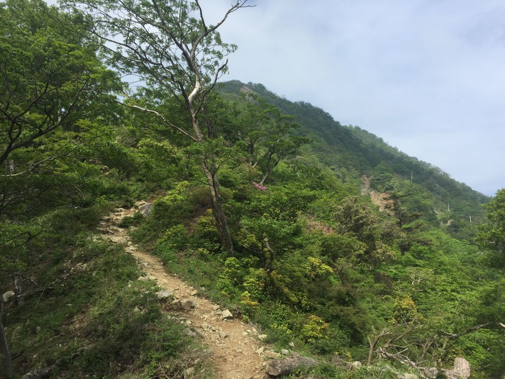 スーパーハード丹沢ぐるりの写真3