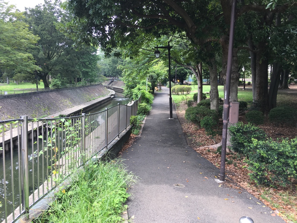 桜上水からパン屋さん、タイ屋台でビール、豪徳寺の招き猫の周回ランの写真3