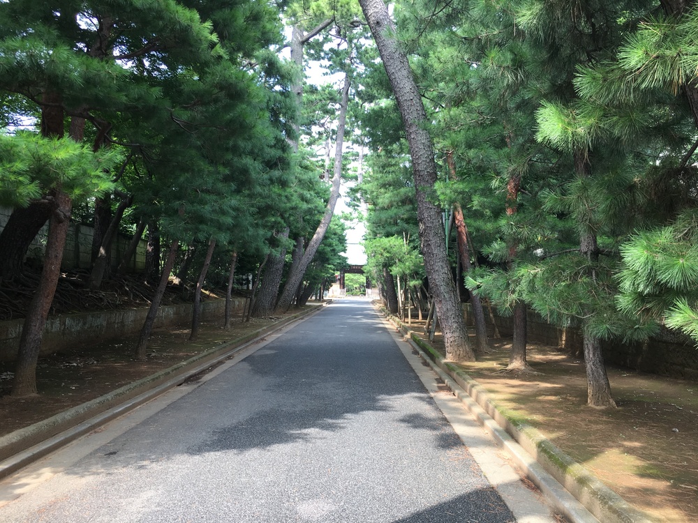 桜上水からパン屋さん、タイ屋台でビール、豪徳寺の招き猫の周回ランの写真11