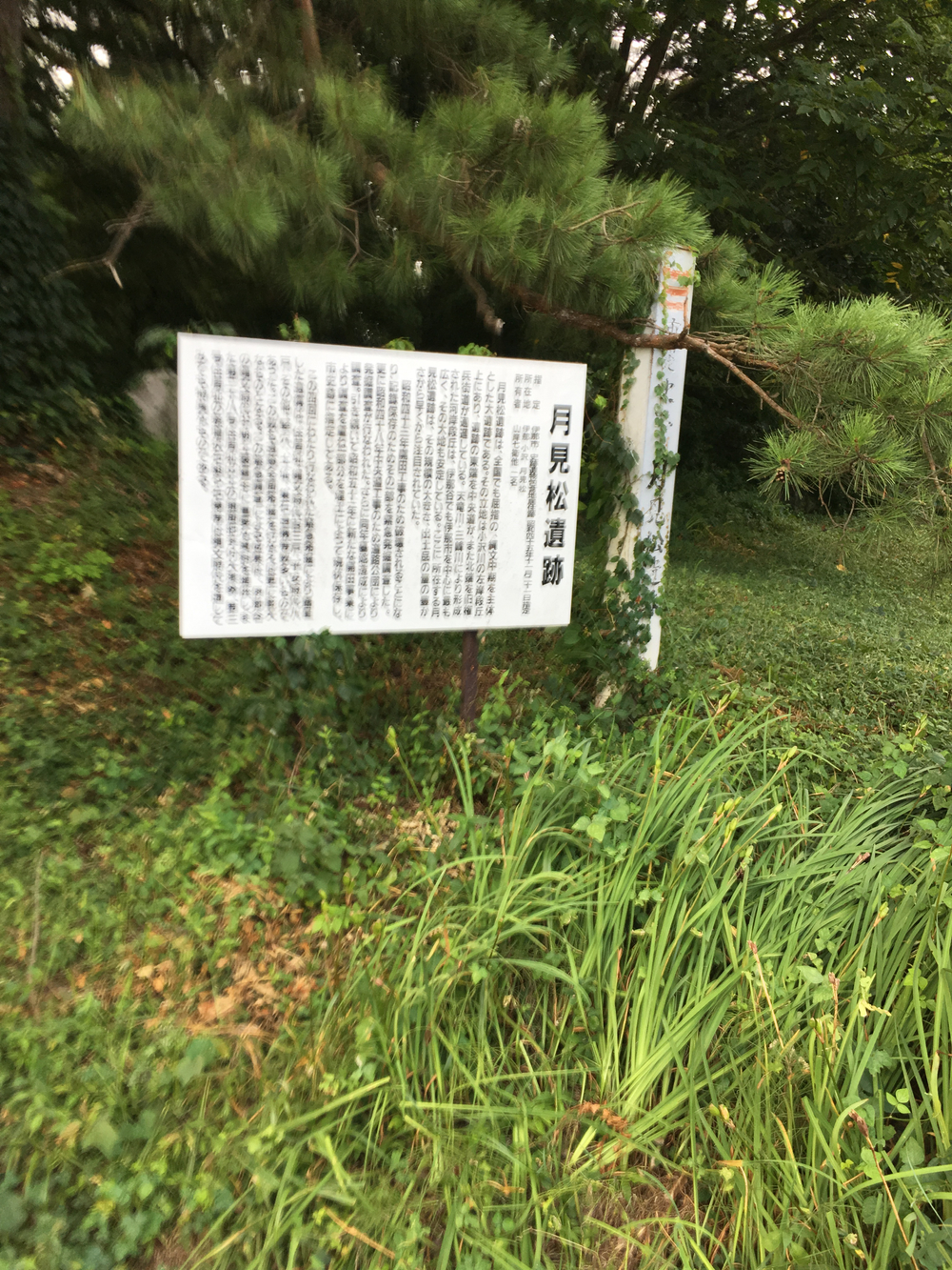 伊那市の自然を走るの写真3