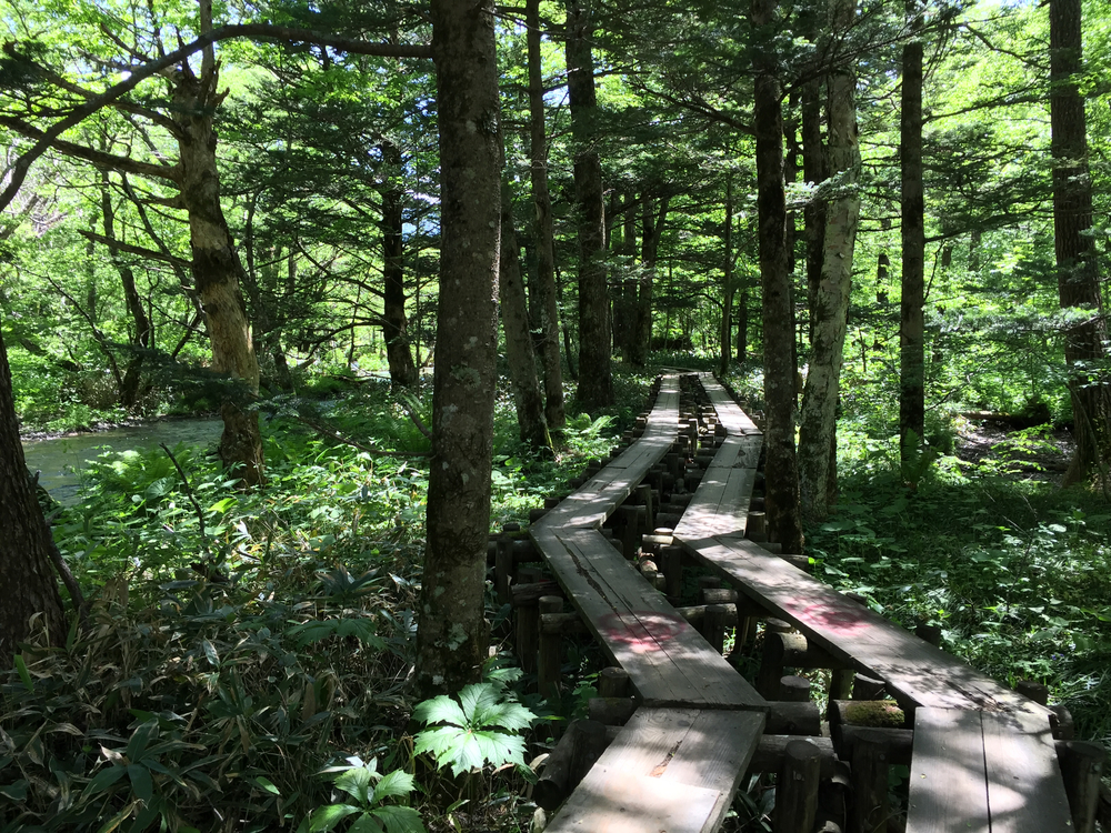 上高地一周の写真3