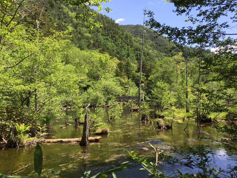上高地一周の写真4