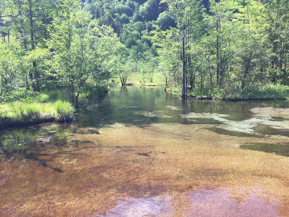 上高地一周の写真6