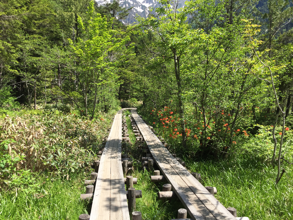 上高地一周の写真7