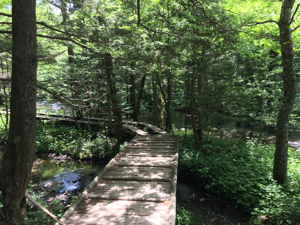 上高地一周の写真8