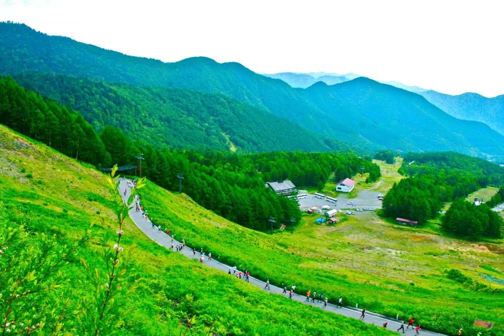 大雪渓！！乗鞍天空マラソンコース30kmの写真4