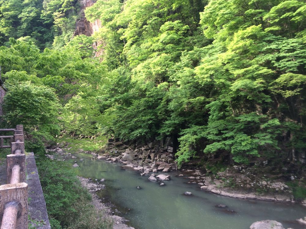 分け入っても、分け入っても田舎道／ツインリンク茂木周辺の写真3