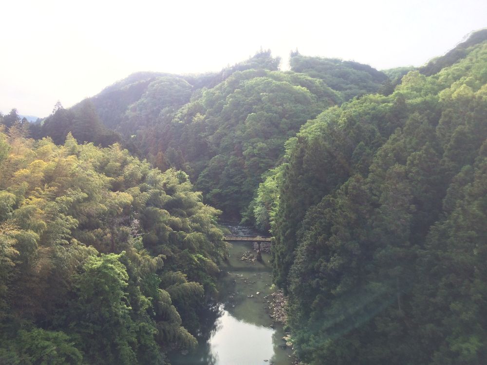 分け入っても、分け入っても田舎道／ツインリンク茂木周辺の写真4