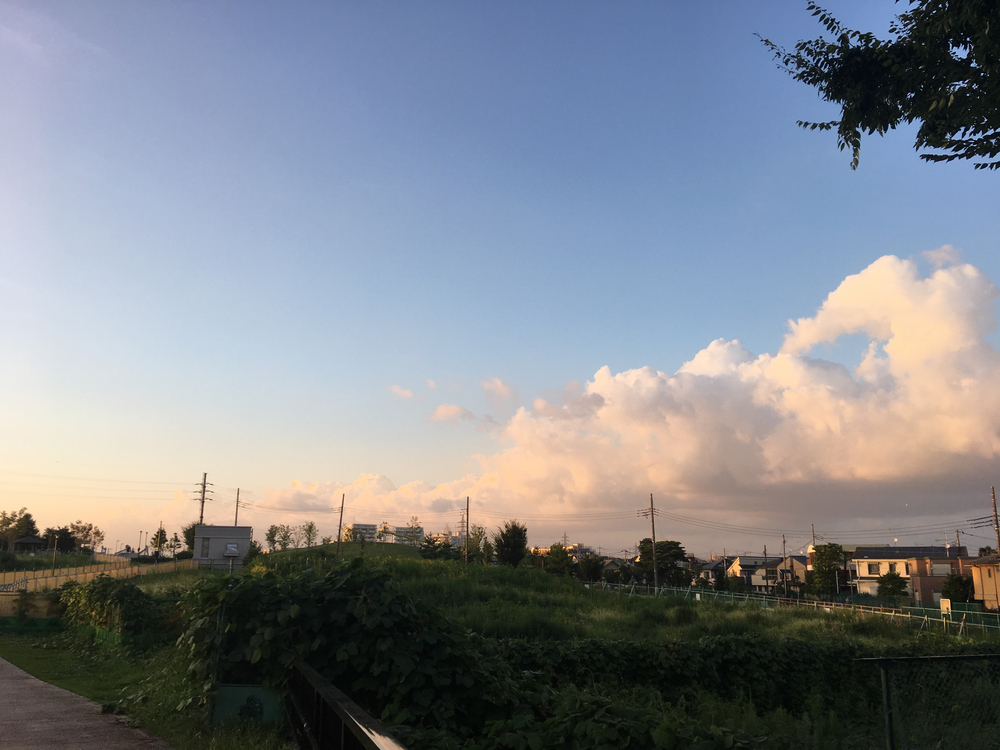 伏見道りランの写真3