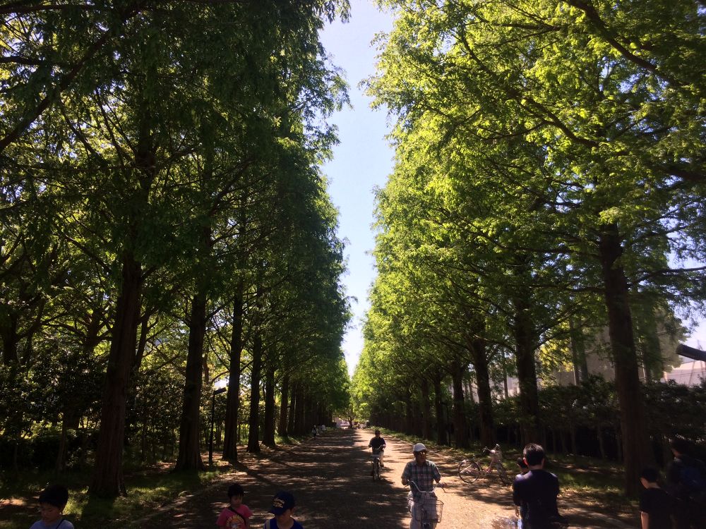 ベルマーレ・ビッグウェーブ〜♪／平塚総合公園周回の写真3