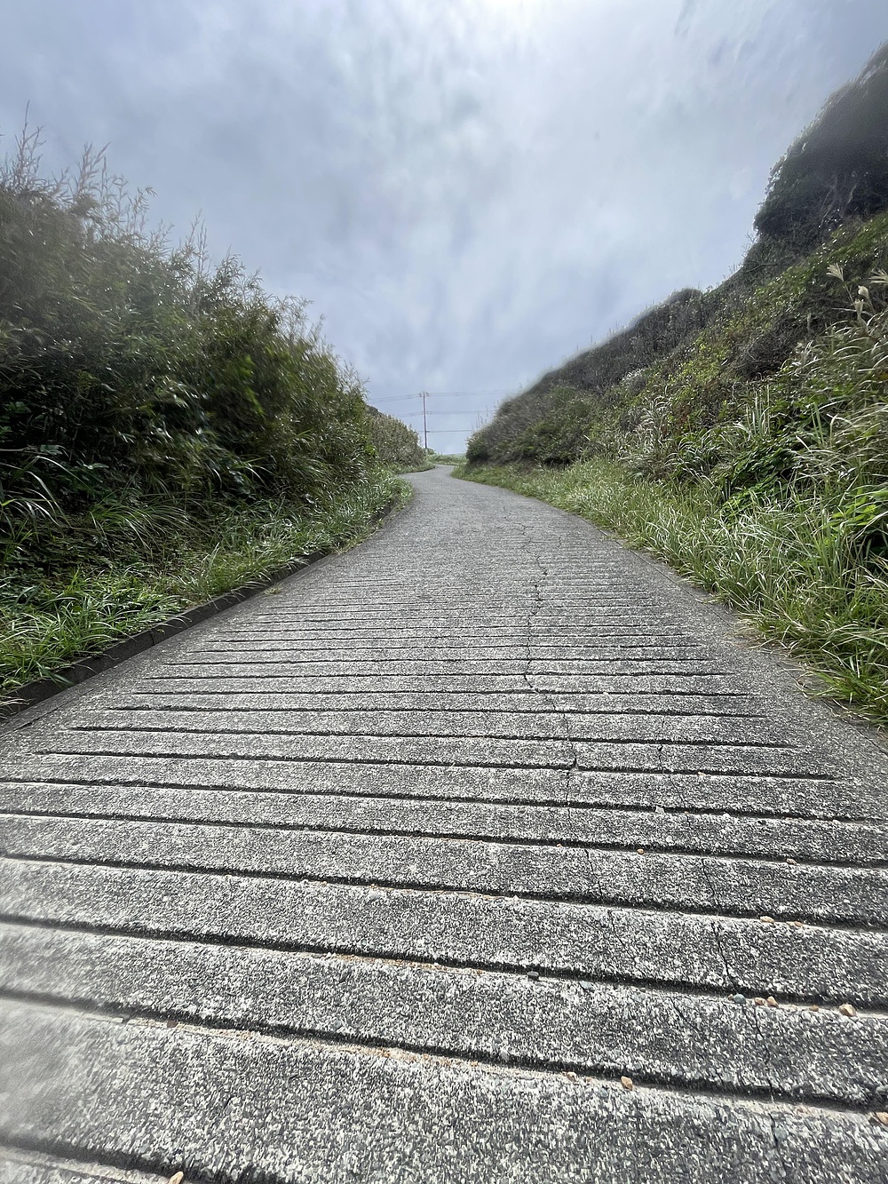 伊豆下田・須崎半島周回 Run & Tripの写真4