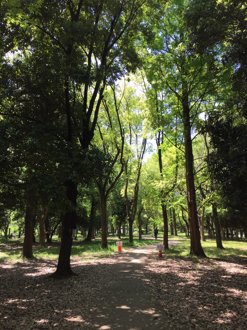 大阪城トレイルラントレーニングコースの写真3