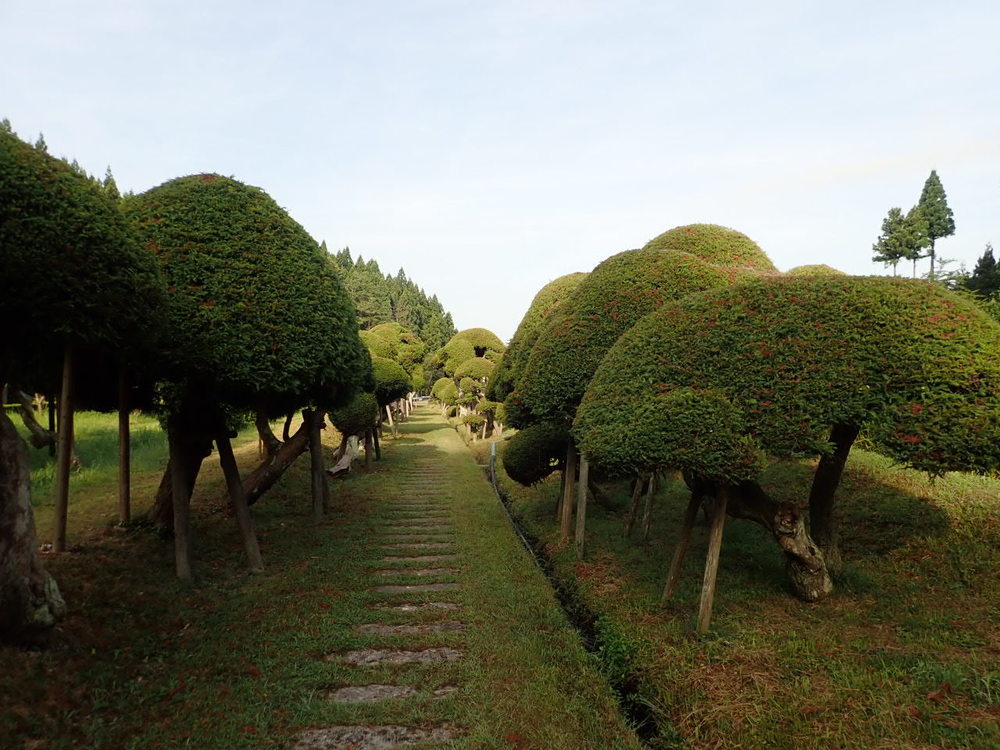 庄内平野が一望できる「眺海の森」の写真6