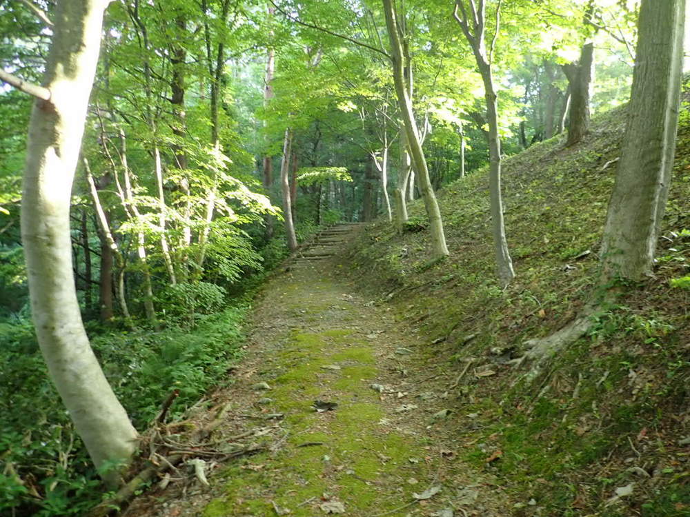 庄内平野が一望できる「眺海の森」の写真8