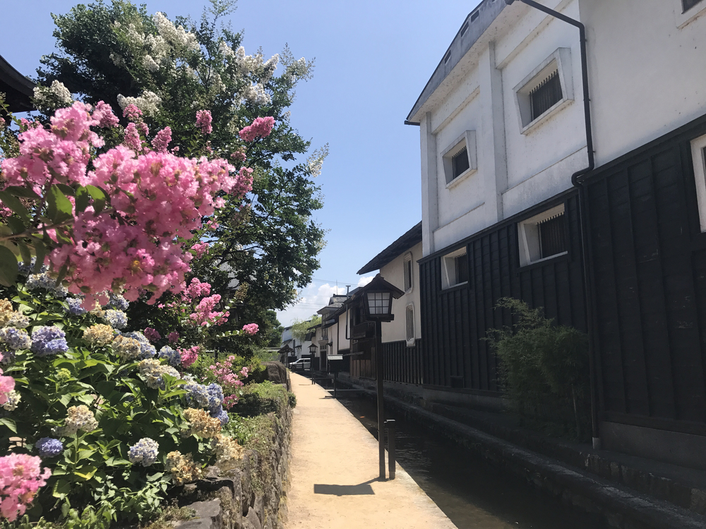 飛騨古川駅から高山城跡までを旅ランの写真5