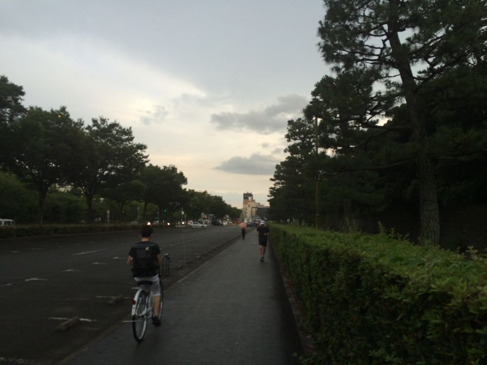 二条城周回コースの写真3