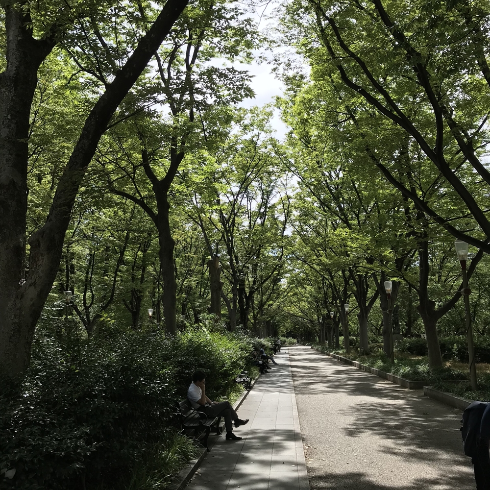 大阪満喫！ランニング！！の写真4