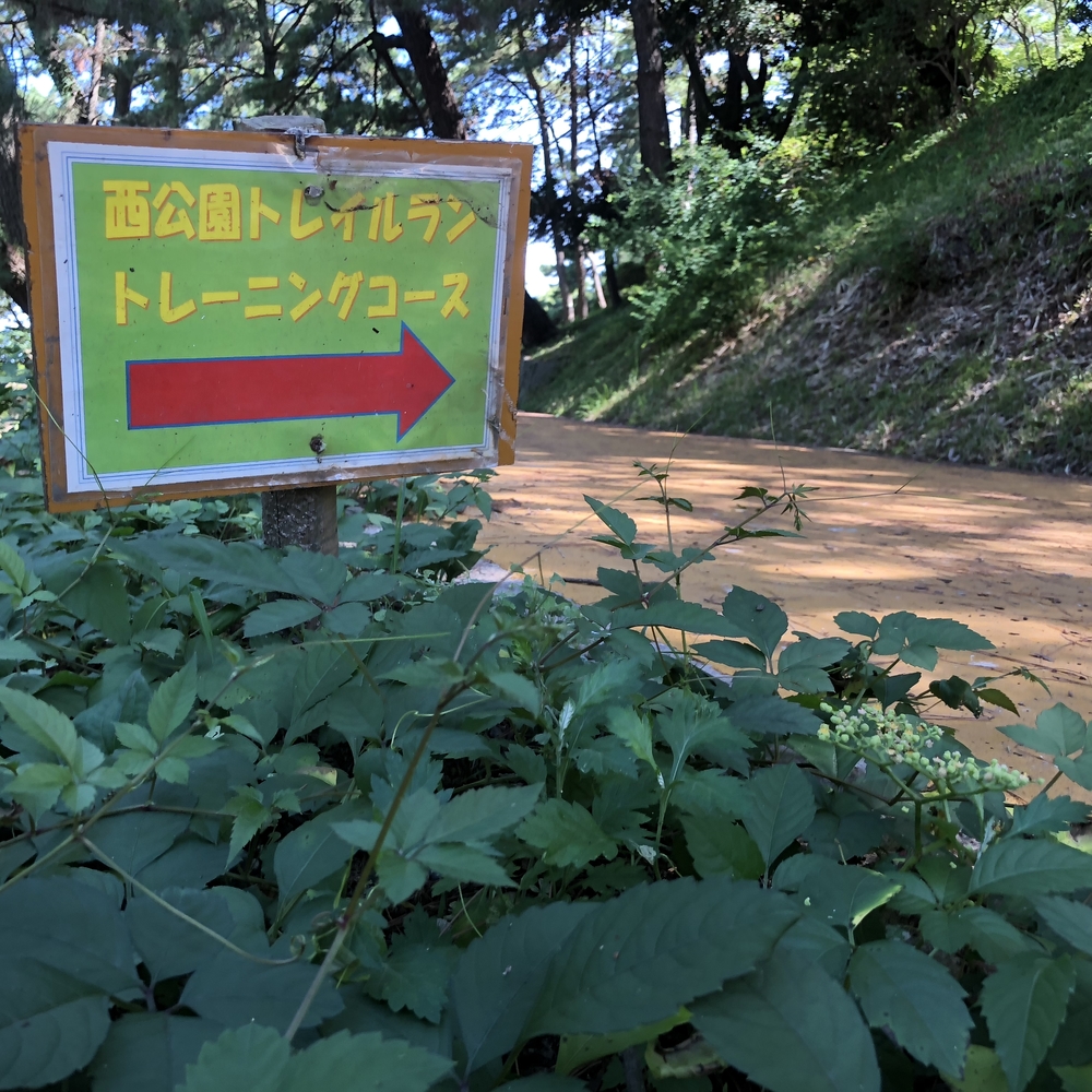 大濠公園だけではない！福岡の青と緑を満喫ランの写真6