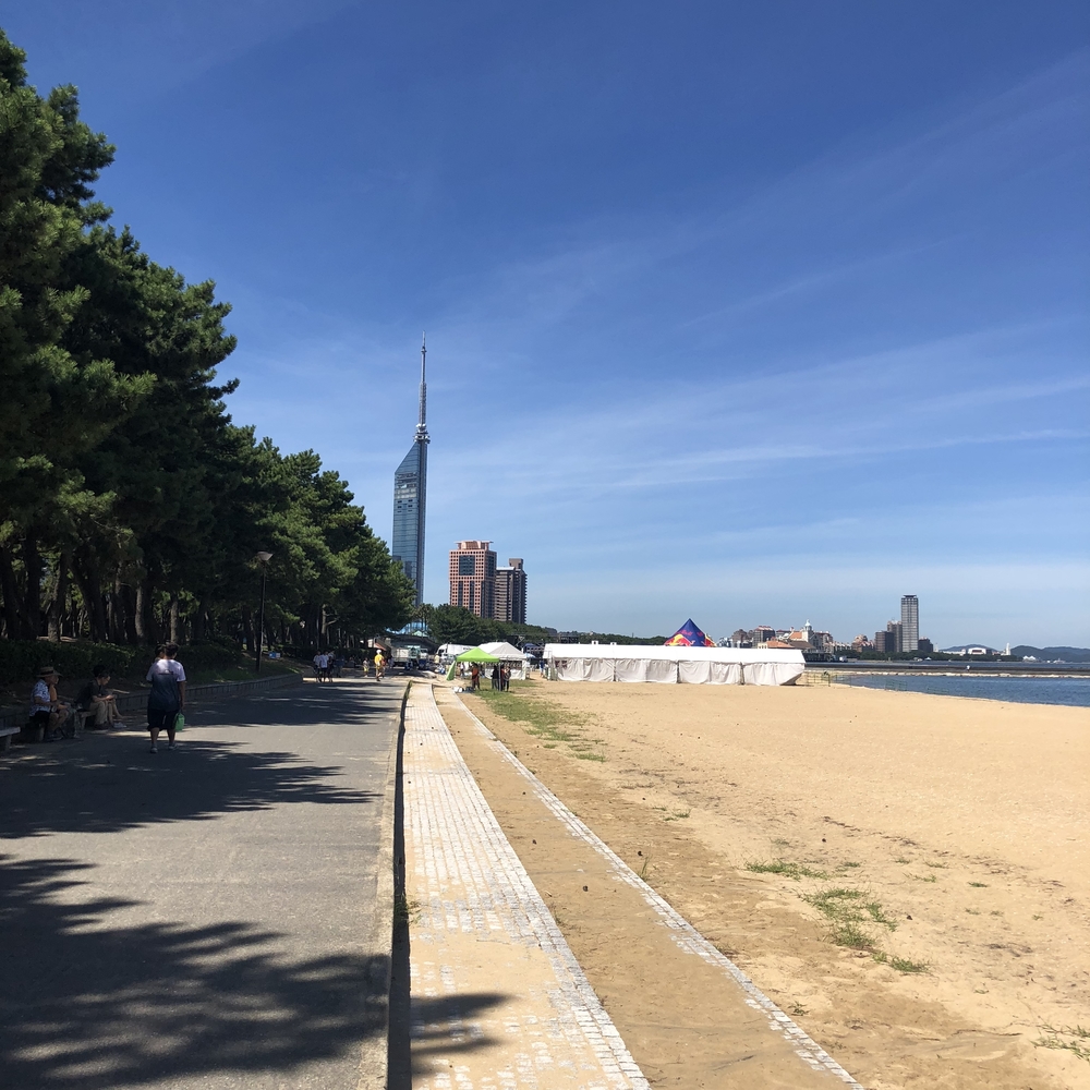 大濠公園だけではない！福岡の青と緑を満喫ランの写真8