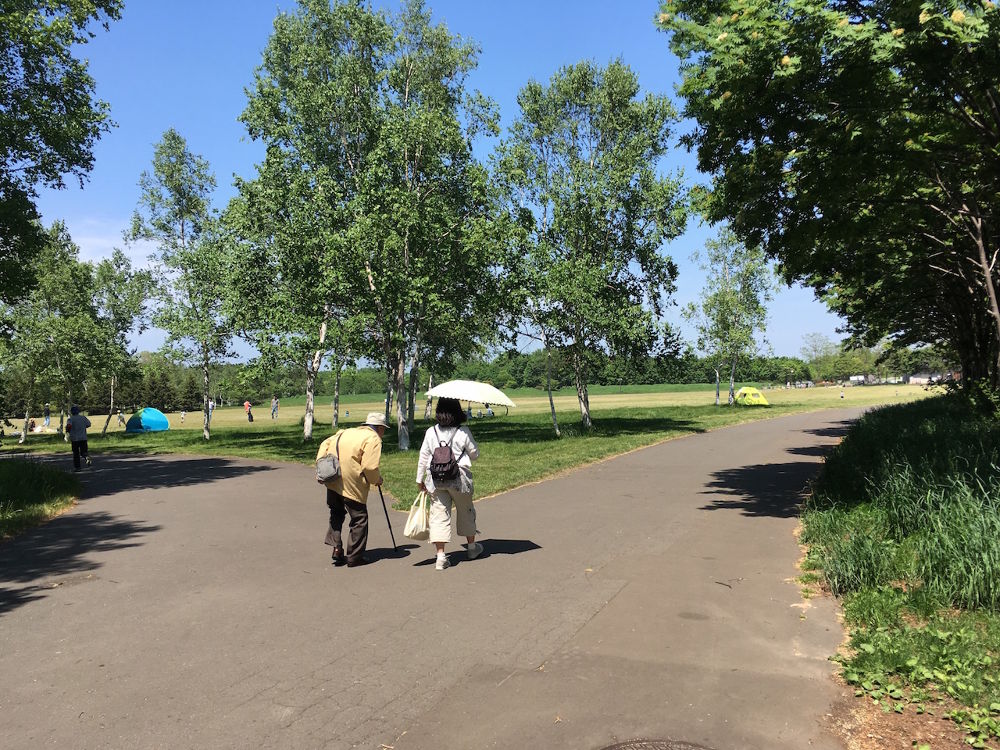 緑に囲まれ開放的！札幌「前田森林公園」園内ランニングコース（約2.5km）の写真4