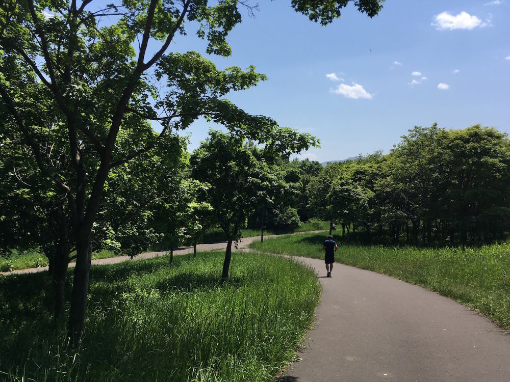 緑に囲まれ開放的！札幌「前田森林公園」園内ランニングコース（約2.5km）の写真6