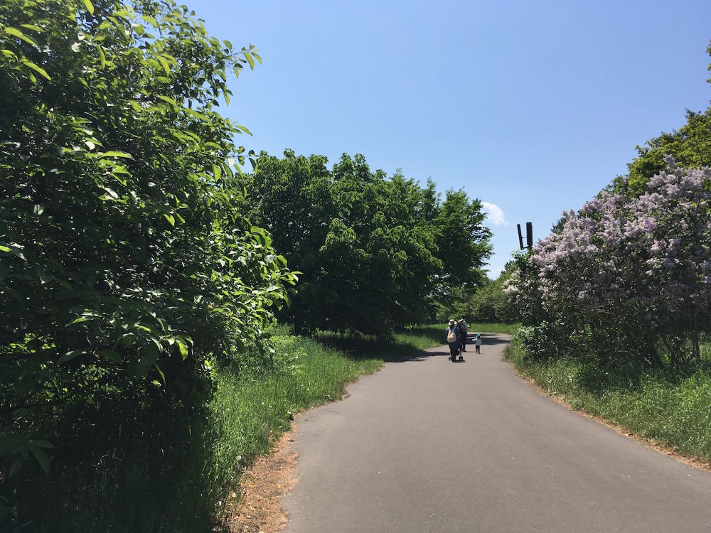 緑に囲まれ開放的！札幌「前田森林公園」園内ランニングコース（約2.5km）の写真7