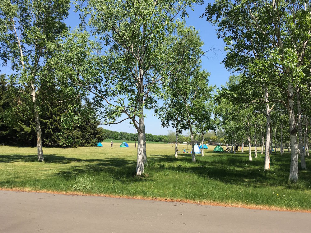 緑に囲まれ開放的！札幌「前田森林公園」園内ランニングコース（約2.5km）の写真9