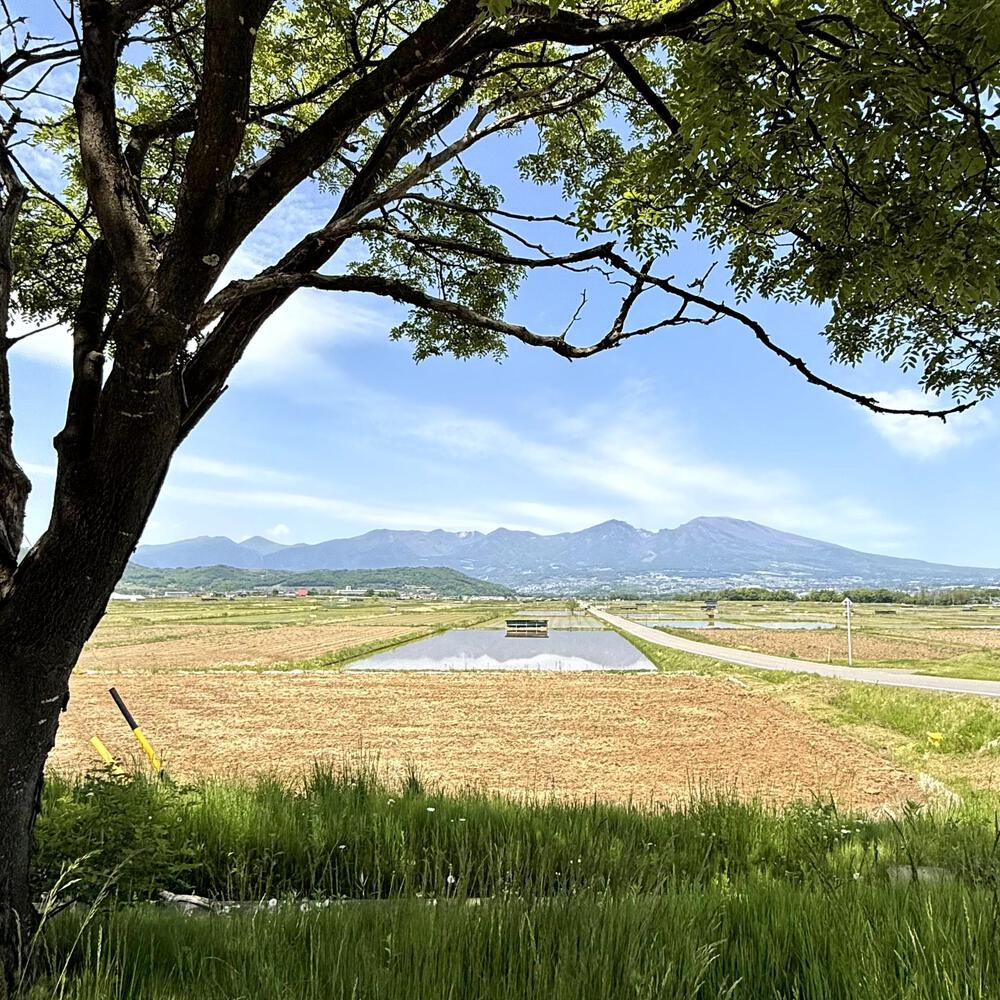浅科の田園エリアと中山道塩名田宿の写真4