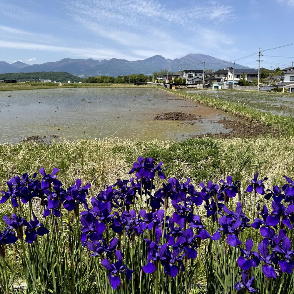 浅科の田園エリアと中山道塩名田宿の写真6
