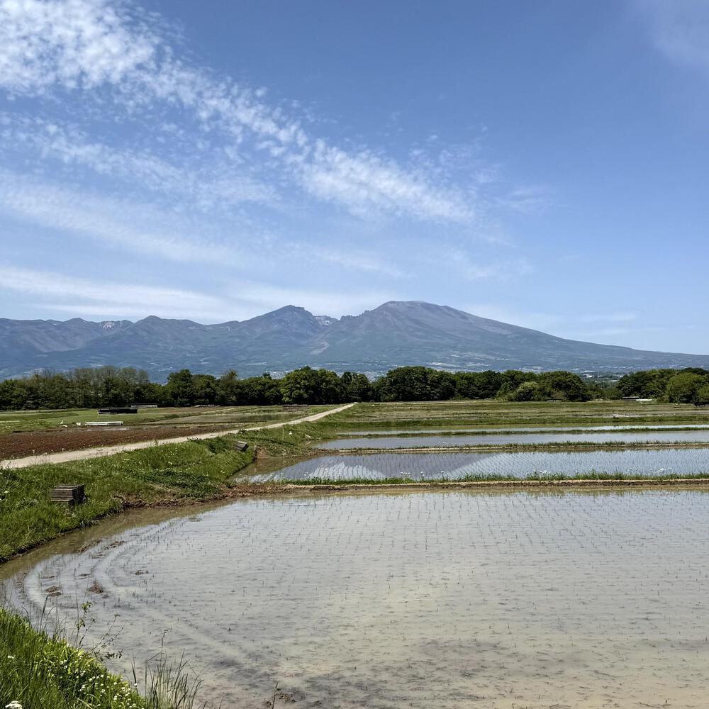 浅科の田園エリアと中山道塩名田宿の写真11
