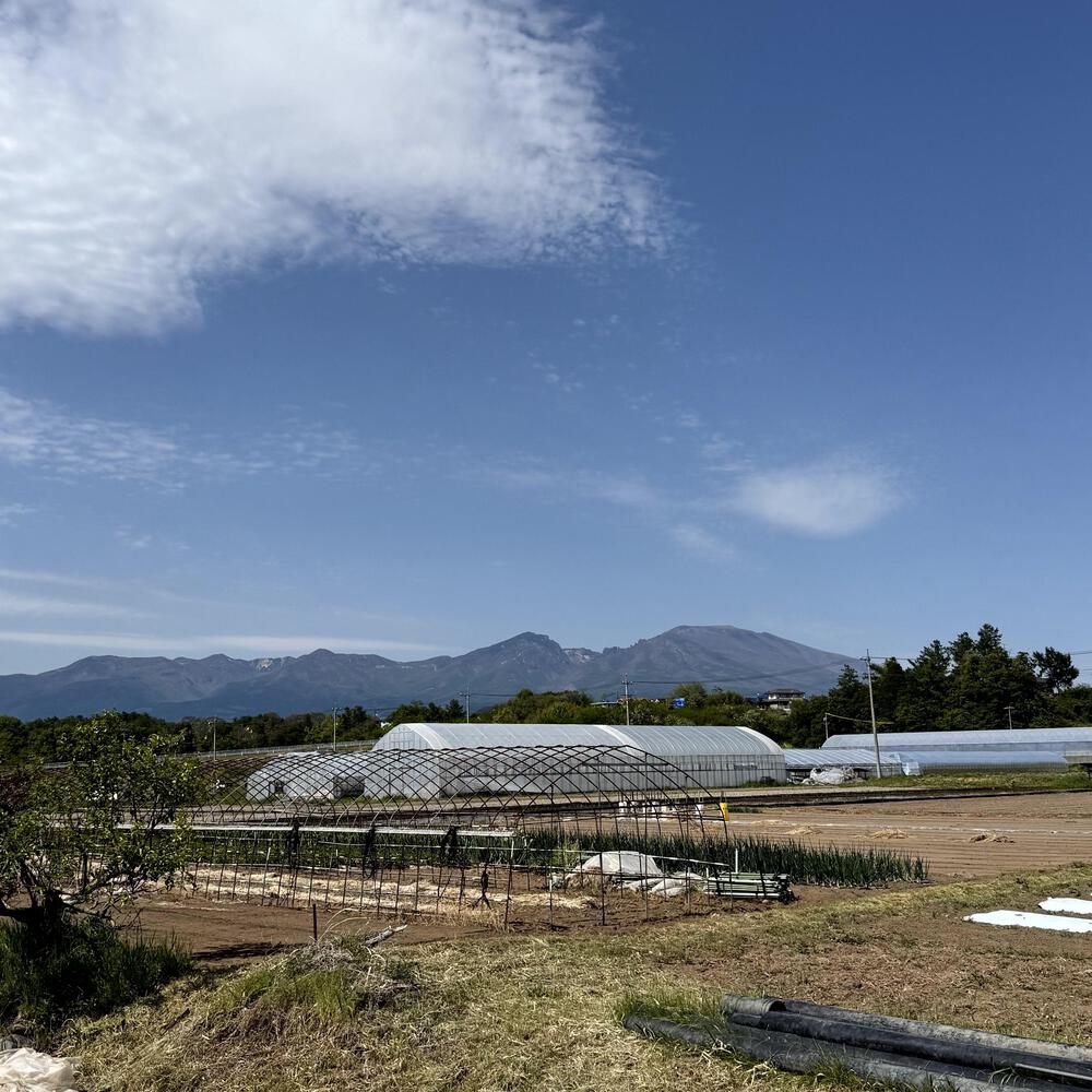 浅科の田園エリアと中山道塩名田宿の写真31