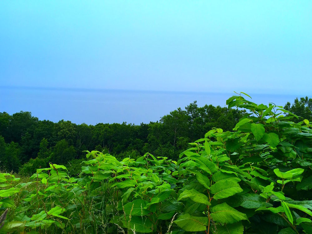 札幌-小樽-余市を繋ぐランニングコース（約55km）の写真9