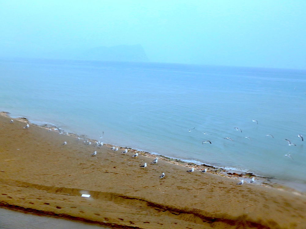 札幌-小樽-余市を繋ぐランニングコース（約55km）の写真10