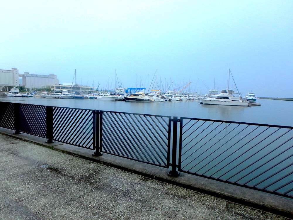 札幌-小樽-余市を繋ぐランニングコース（約55km）の写真11