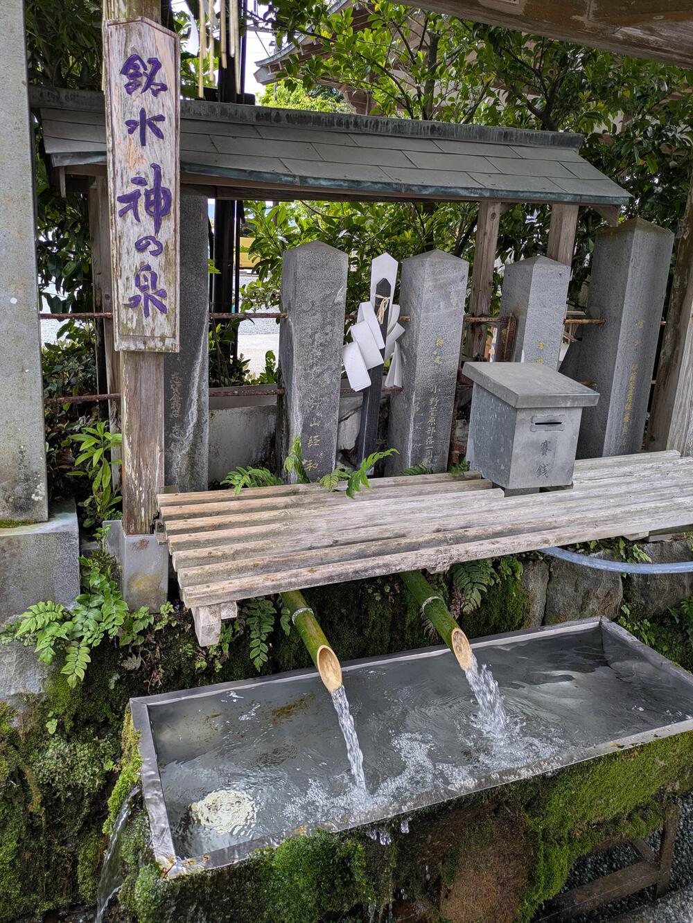 阿蘇の絶景を走る！大観峰を仰ぎ阿蘇神社へ向かう名水ランの写真3