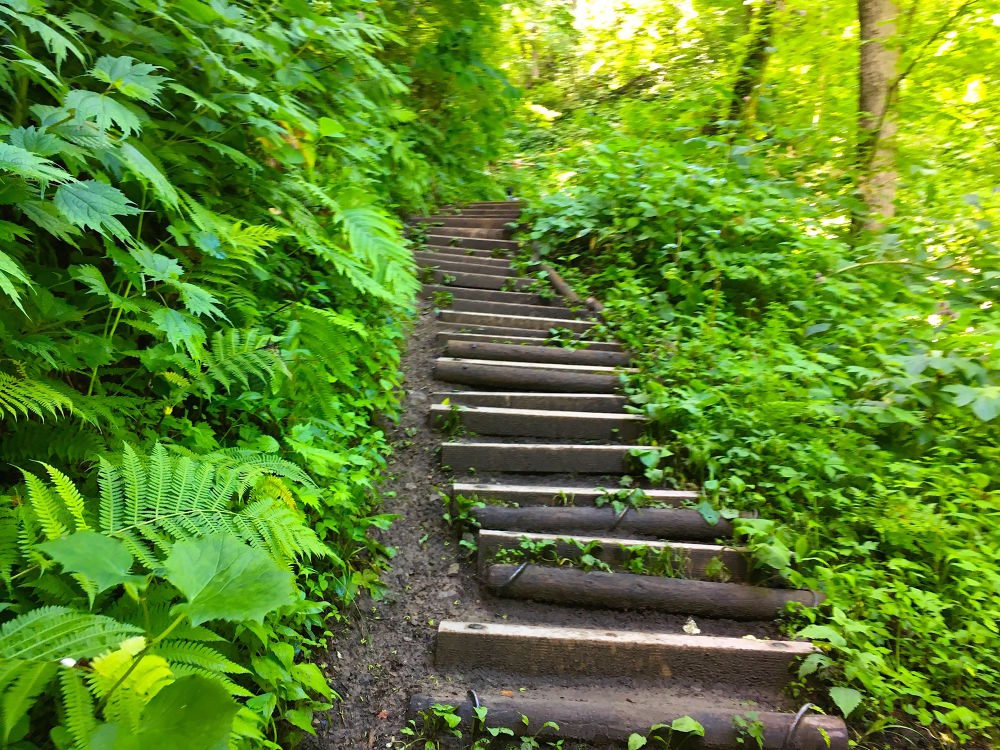 札幌を一望！藻岩山・慈啓会病院前トレイルコースの写真7