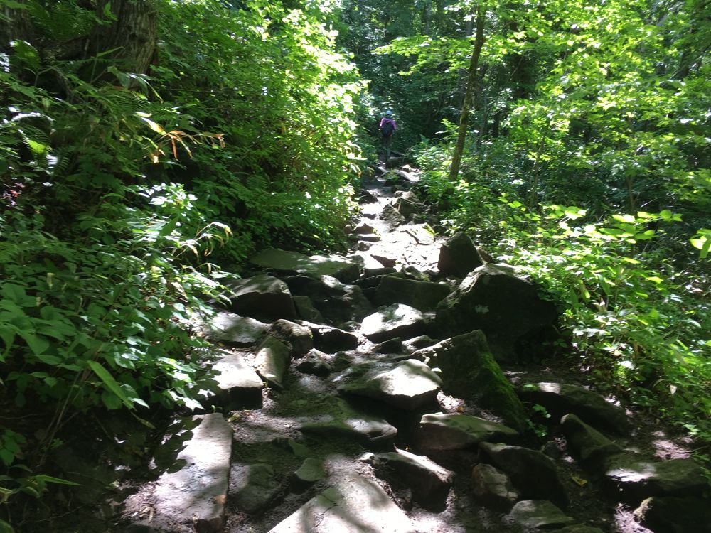 札幌を一望！藻岩山・慈啓会病院前トレイルコースの写真8