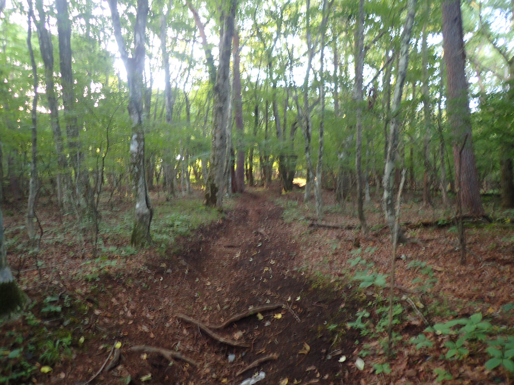 早朝の山中湖から明神山の絶景トレイルの写真3