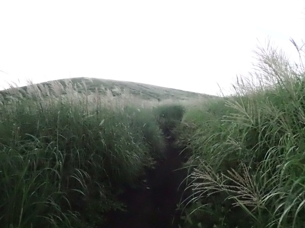 早朝の山中湖から明神山の絶景トレイルの写真4