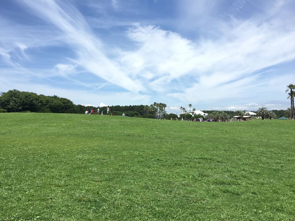 湘南の風を感じる道の写真4