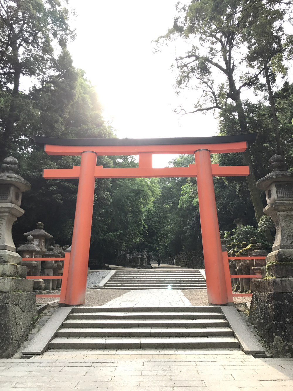 JR奈良駅発奈良公園主要スポット周遊10kコースの写真4