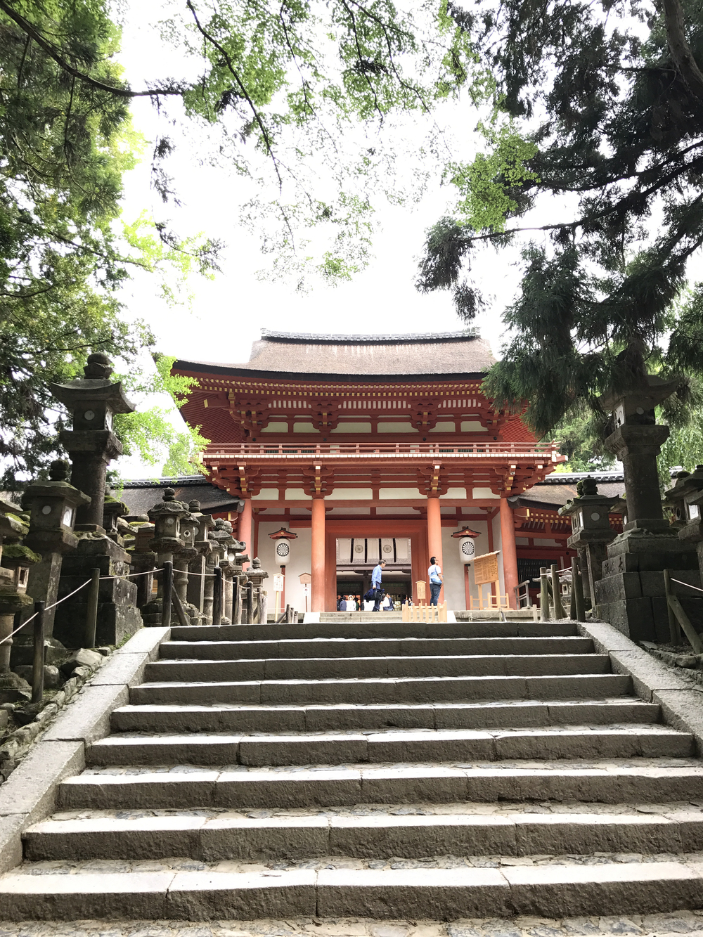 JR奈良駅発奈良公園主要スポット周遊10kコースの写真5