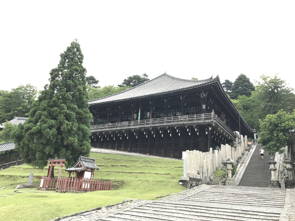 JR奈良駅発奈良公園主要スポット周遊10kコースの写真9