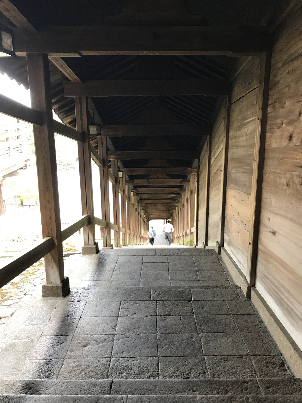 JR奈良駅発奈良公園主要スポット周遊10kコースの写真10