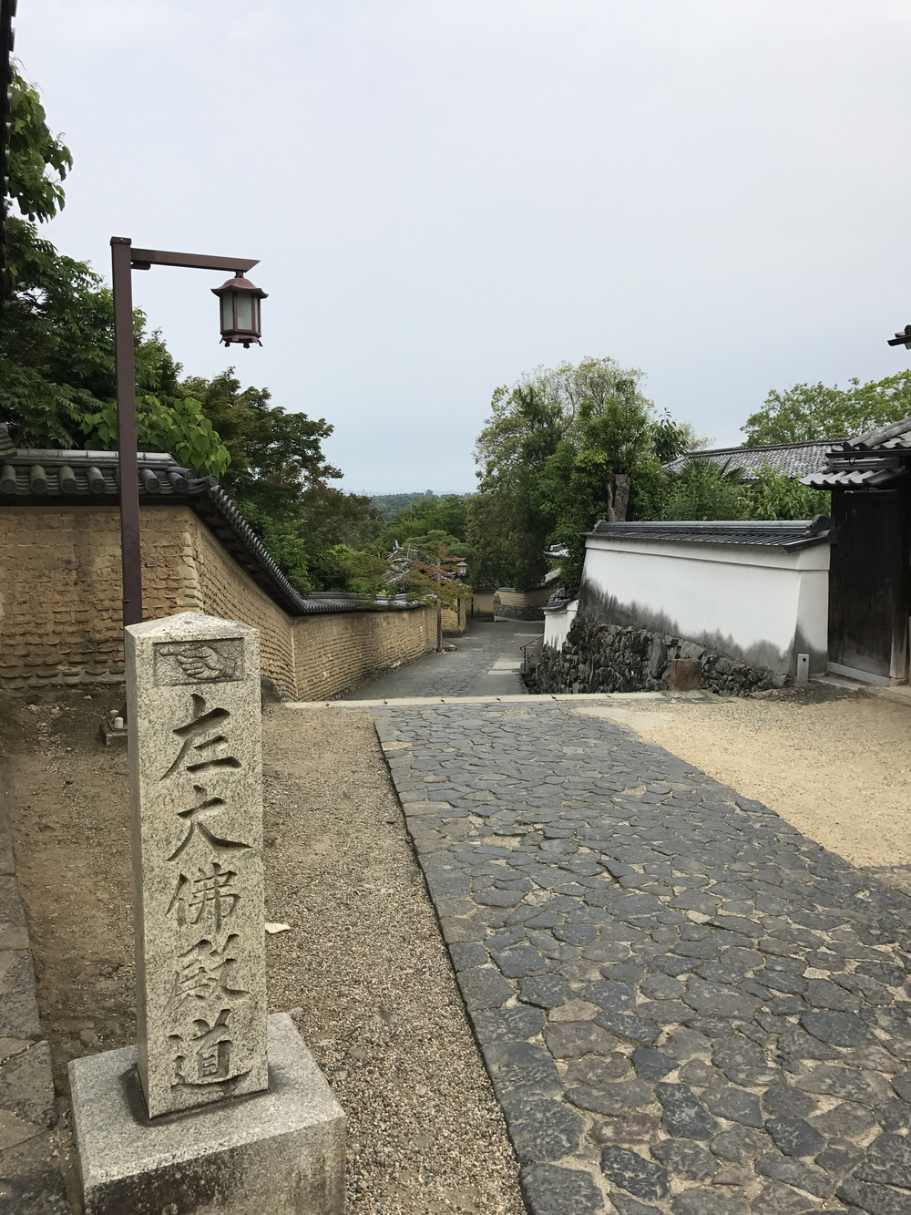 JR奈良駅発奈良公園主要スポット周遊10kコースの写真11