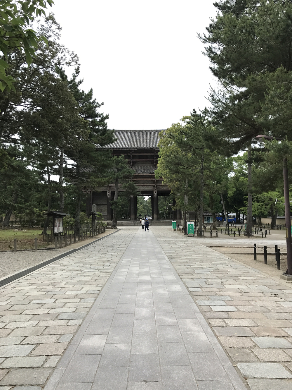 JR奈良駅発奈良公園主要スポット周遊10kコースの写真12