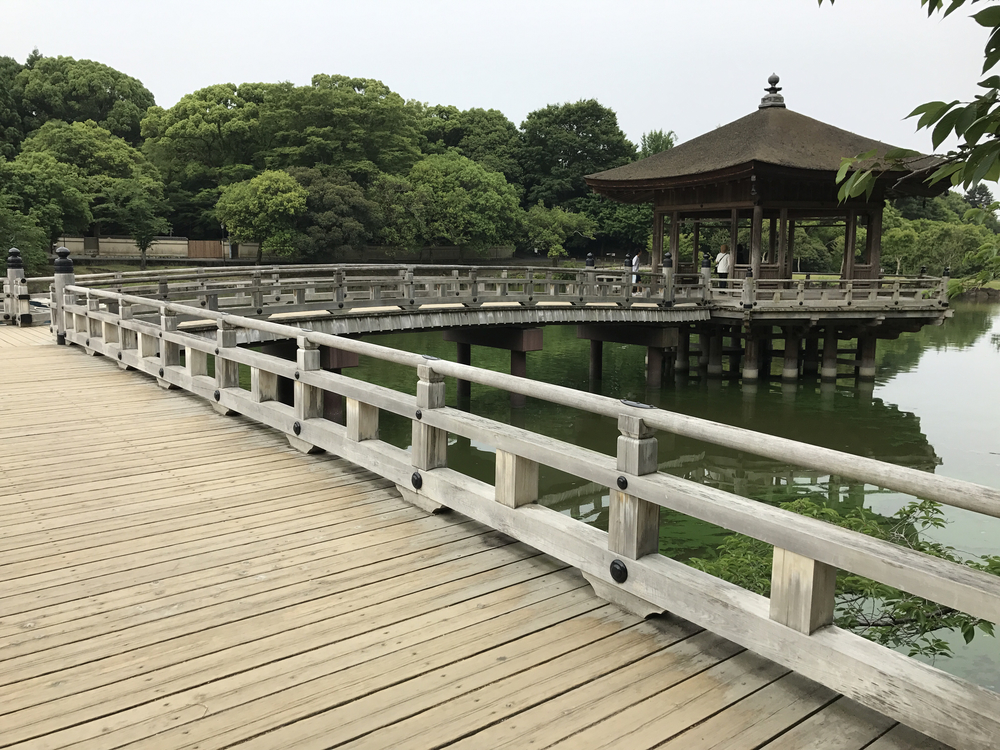 JR奈良駅発奈良公園主要スポット周遊10kコースの写真13