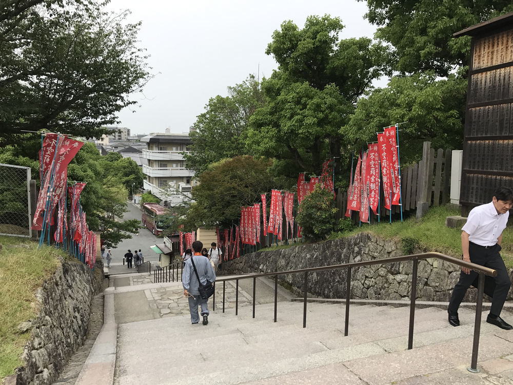 JR奈良駅発奈良公園主要スポット周遊10kコースの写真16