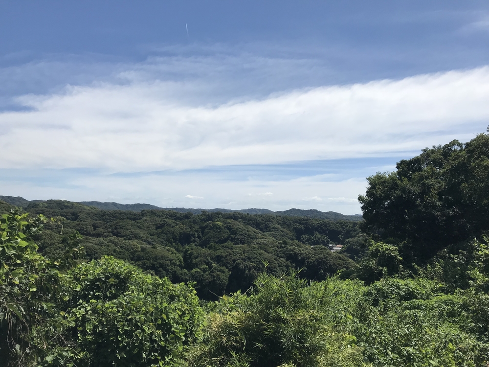 鎌倉〜湘南 トレイル&ビーチランの写真5