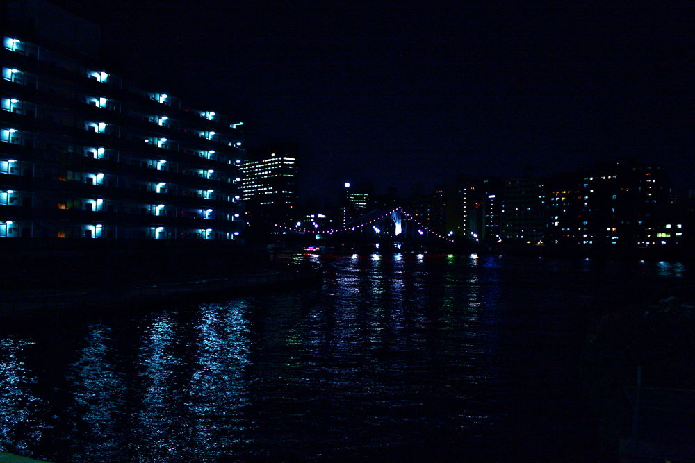 東京ナイトブリッジラン其ノ壱7.3kmの写真3